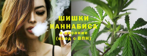 мдпв Куйбышев