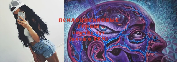 мдпв Куйбышев