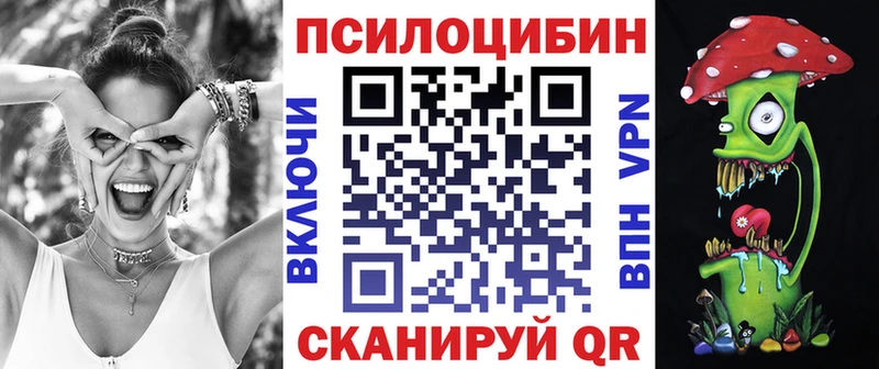 Купить  Ессентукская  Псилоцибиновые грибы Magic Shrooms 